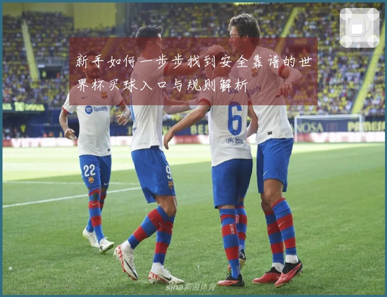 新手如何一步步找到安全靠谱的世界杯买球入口与规则解析