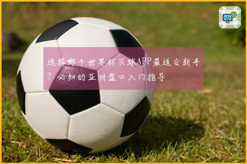 选择哪个世界杯买球APP最适合新手？必知的亚洲盘口入门指导