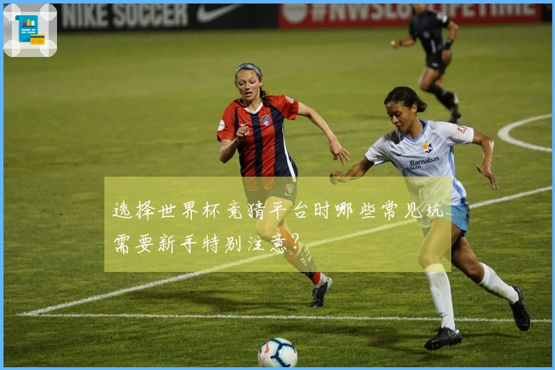 选择世界杯竞猜平台时哪些常见坑需要新手特别注意？