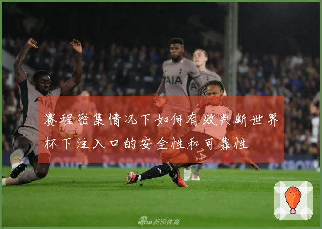 赛程密集情况下如何有效判断世界杯下注入口的安全性和可靠性