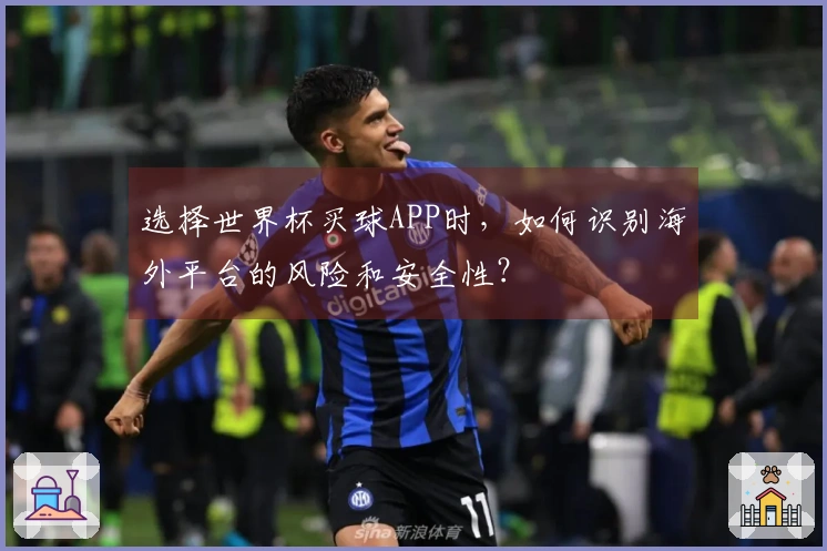 选择世界杯买球APP时，如何识别海外平台的风险和安全性？