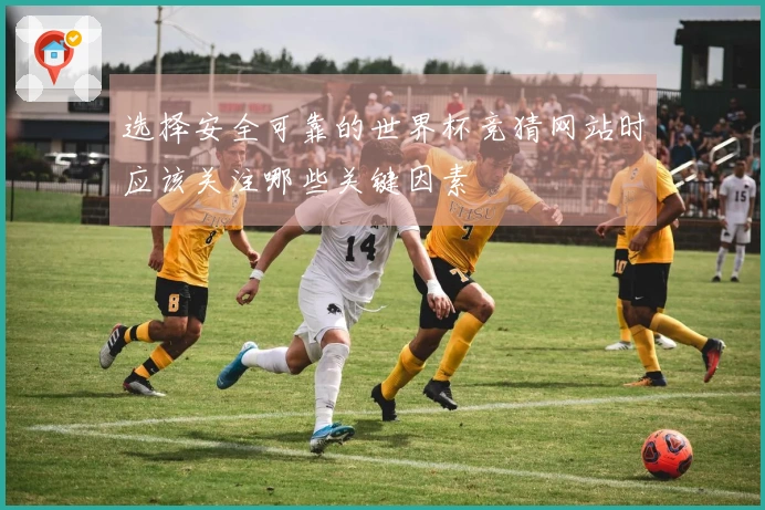 选择安全可靠的世界杯竞猜网站时应该关注哪些关键因素
