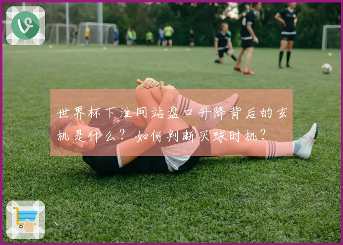 世界杯下注网站盘口升降背后的玄机是什么?如何判断买球时机?