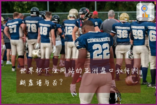 世界杯下注网站的亚洲盘口如何判断靠谱与否？