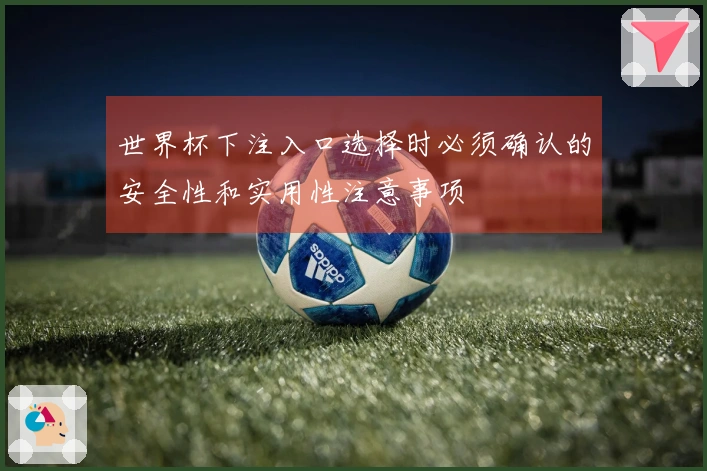世界杯下注入口选择时必须确认的安全性和实用性注意事项