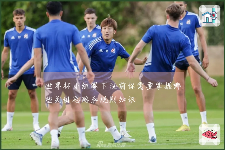 世界杯小组赛下注前你需要掌握哪些关键思路和规则知识