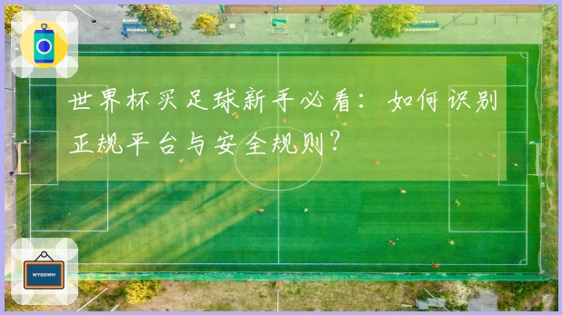 世界杯买足球新手必看：如何识别正规平台与安全规则？