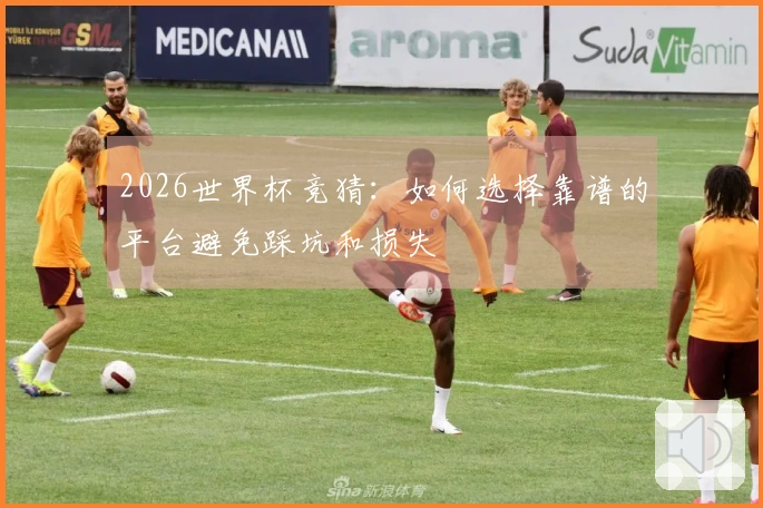 2026世界杯竞猜：如何选择靠谱的平台避免踩坑和损失