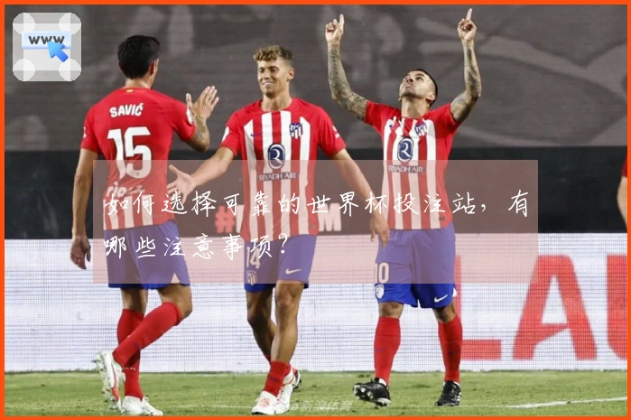 如何选择可靠的世界杯投注站，有哪些注意事项？