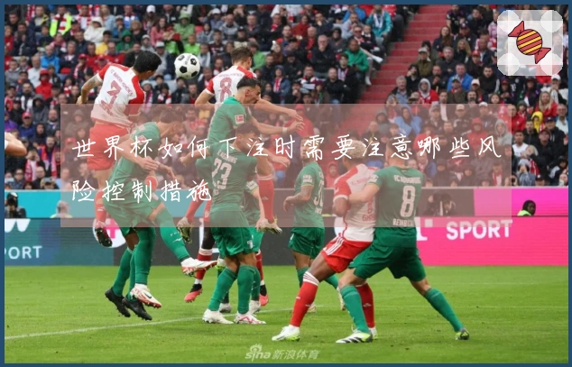 世界杯如何下注时需要注意哪些风险控制措施