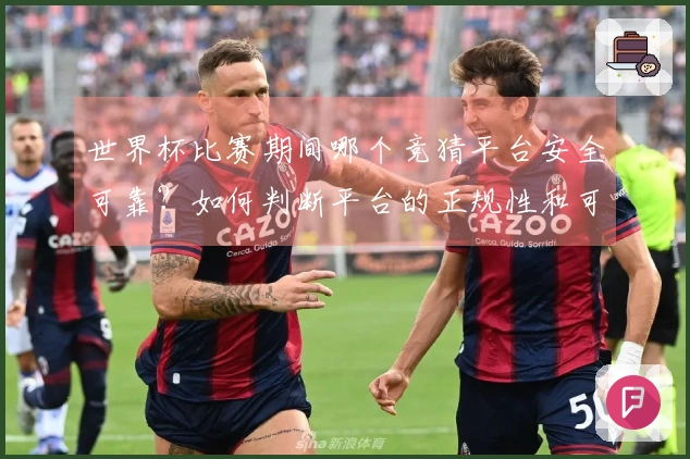 世界杯比赛期间哪个竞猜平台安全可靠？如何判断平台的正规性和可信度