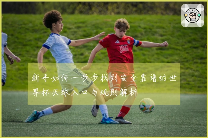 新手如何一步步找到安全靠谱的世界杯买球入口与规则解析