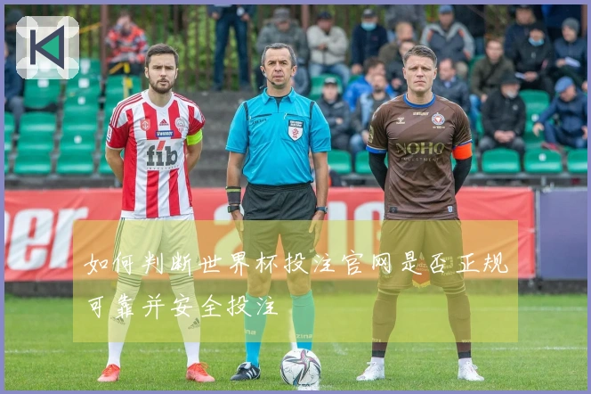 如何判断世界杯投注官网是否正规可靠并安全投注