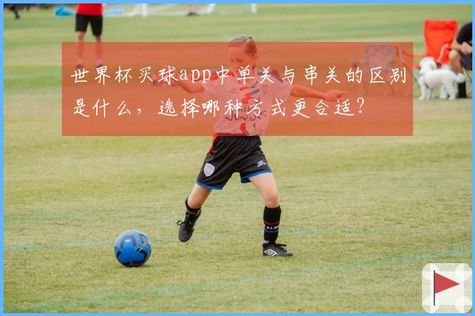 世界杯买球app中单关与串关的区别是什么,选择哪种方式更合适?