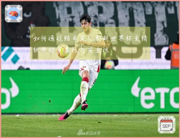 如何通过赔率变化判断世界杯竞猜软件的可靠性与安全性