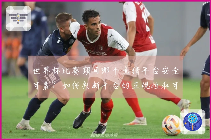 世界杯比赛期间哪个竞猜平台安全可靠?如何判断平台的正规性和可信度