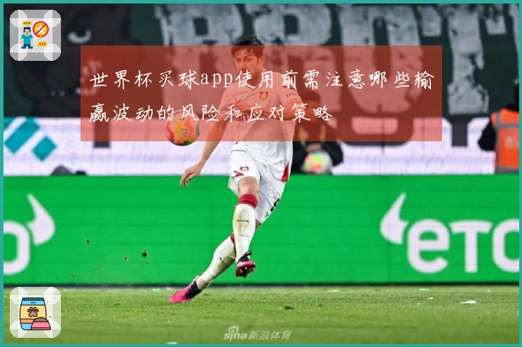 世界杯买球app使用前需注意哪些输赢波动的风险和应对策略