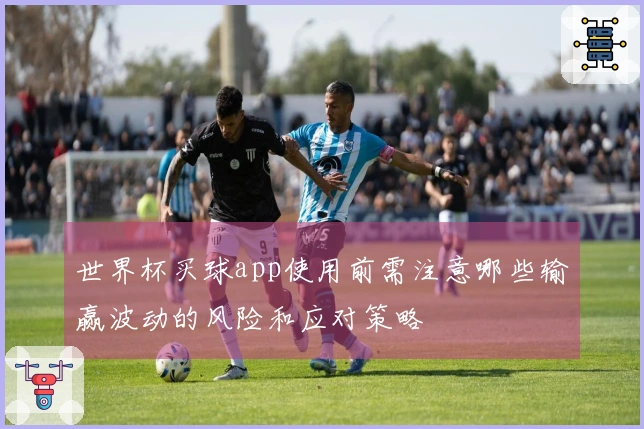 世界杯买球app使用前需注意哪些输赢波动的风险和应对策略