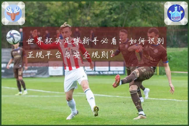 世界杯买足球新手必看：如何识别正规平台与安全规则？