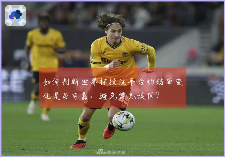 如何判断世界杯投注平台的赔率变化是否可靠，避免常见误区？