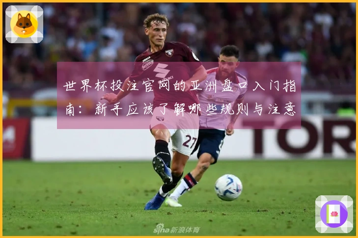 世界杯投注官网的亚洲盘口入门指南：新手应该了解哪些规则与注意事项