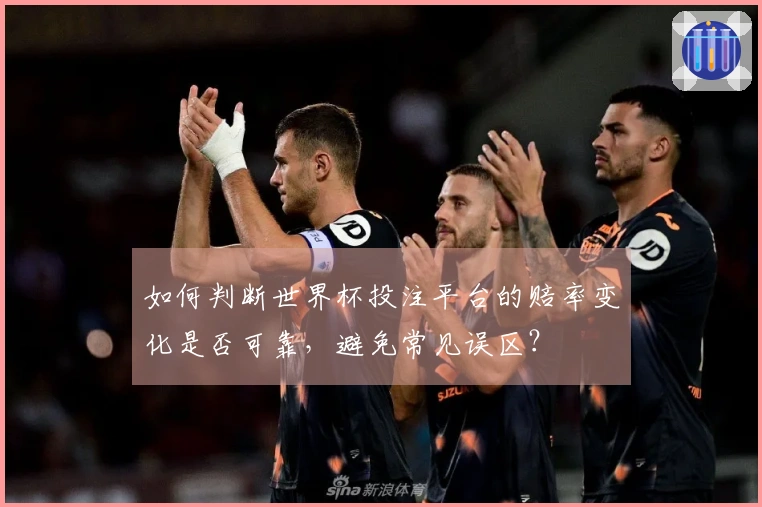 如何判断世界杯投注平台的赔率变化是否可靠,避免常见误区?