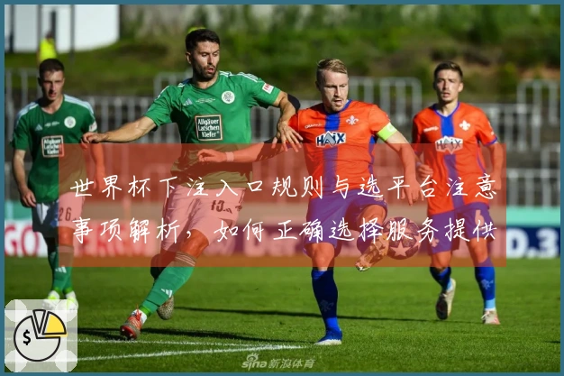 世界杯下注入口规则与选平台注意事项解析，如何正确选择服务提供商