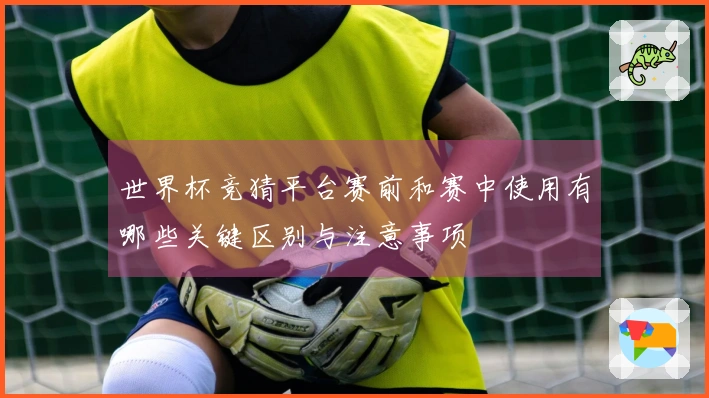 世界杯竞猜平台赛前和赛中使用有哪些关键区别与注意事项