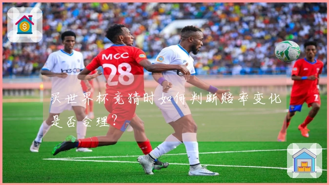 买世界杯竞猜时如何判断赔率变化是否合理？