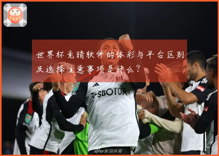 世界杯竞猜软件的体彩与平台区别及选择注意事项是什么？