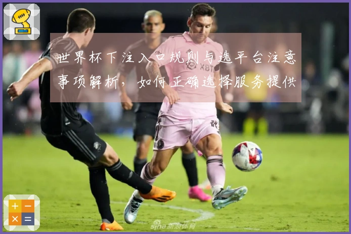 世界杯下注入口规则与选平台注意事项解析,如何正确选择服务提供商